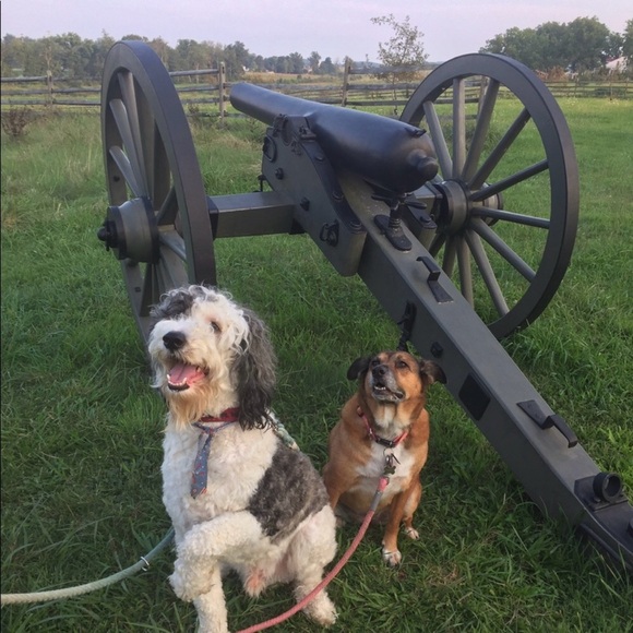 ❤️ - Picture 7 of 16